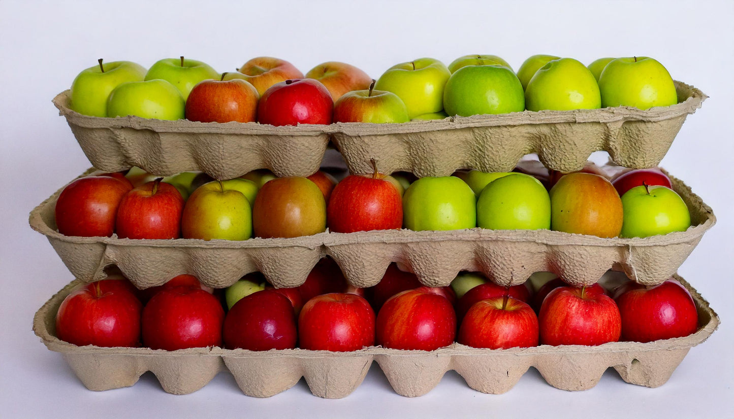 Egg tray line