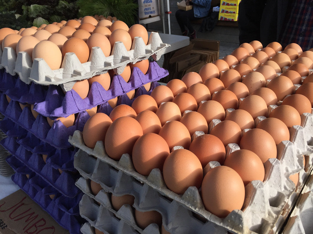 Egg tray line